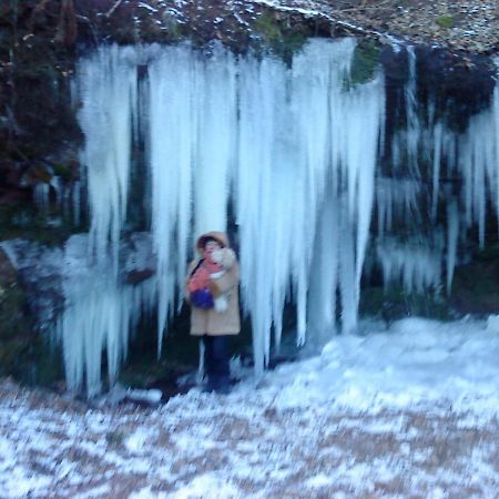 A L'Ombre De La Cascade Leilighet Lemberg Eksteriør bilde
