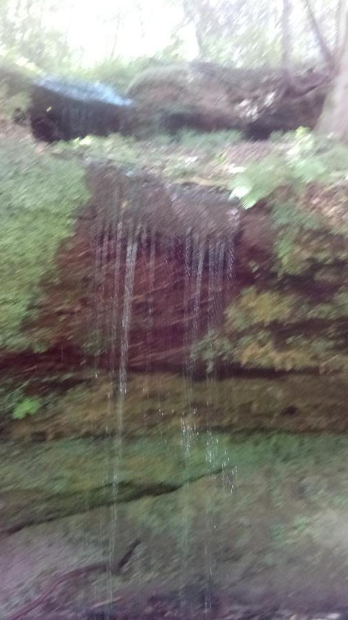 A L'Ombre De La Cascade Leilighet Lemberg Eksteriør bilde